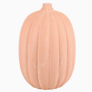 Fall-themed terracotta pumpkin decor for indoor or outdoor usev