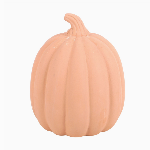 Pink pumpkin on a white background