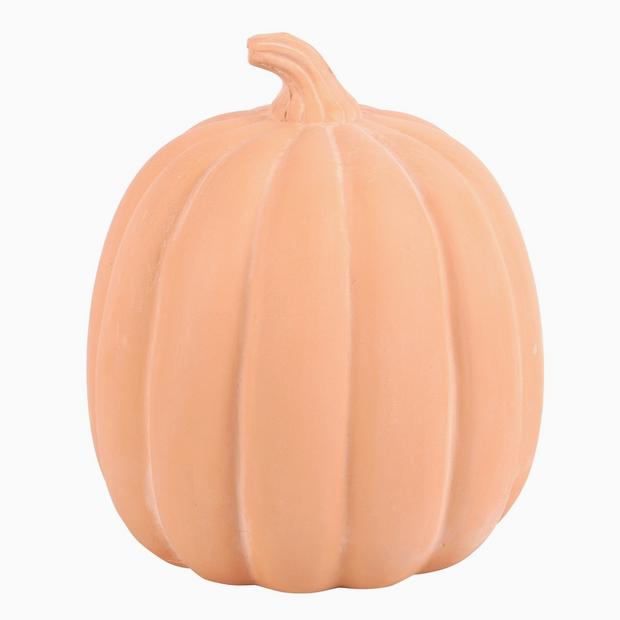 Peach-colored pumpkin on a white background