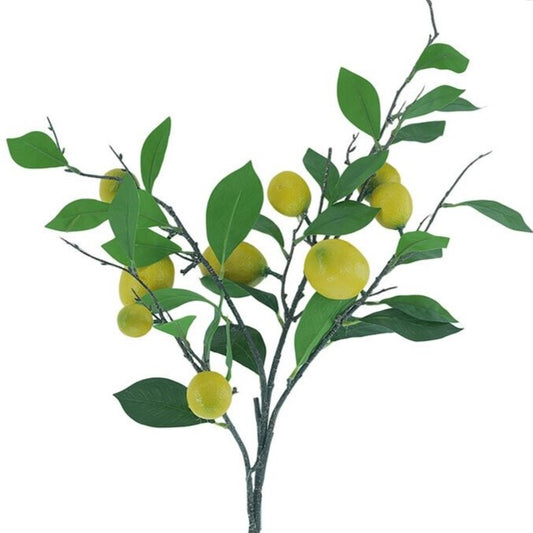 fruit stem :: lemons