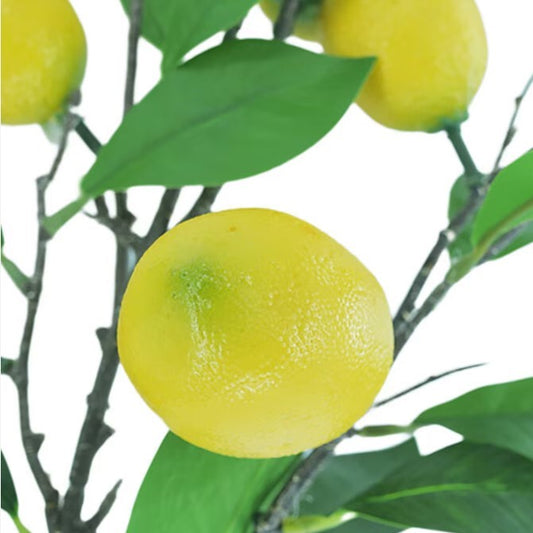 fruit stem :: lemons