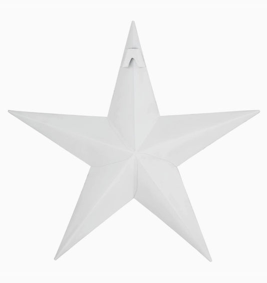 metal star :: white speckled