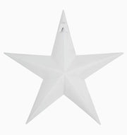 metal star :: white speckled