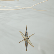 Decorative star-shaped ornament on a string against a light gray background