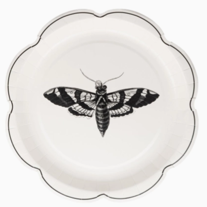 Disposable party plates for gothic or witch-themed events