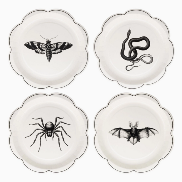 Apothecary paper plates featuring vintage potion label designs