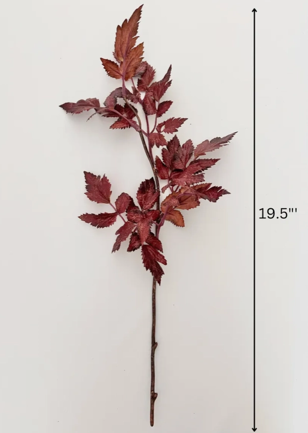stem :: plum cimicifuga ramosa leaf