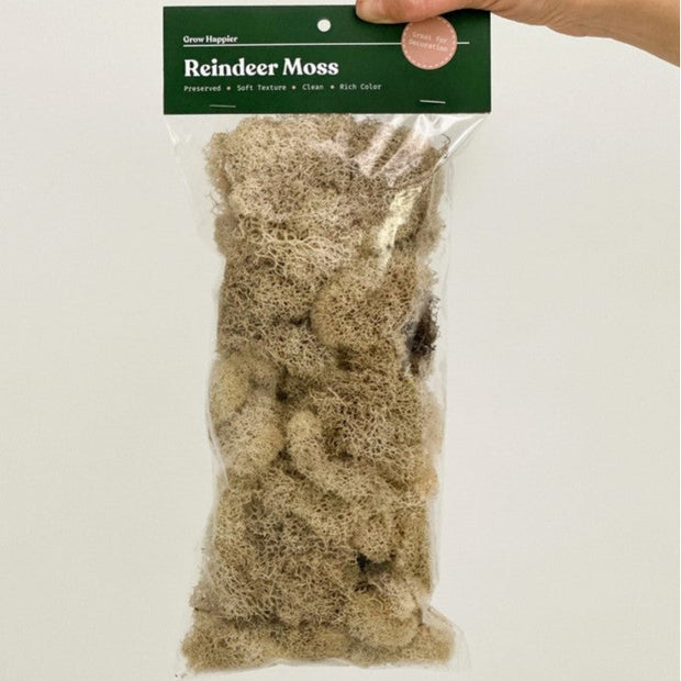 preserved reindeer moss