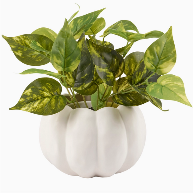 small pumpkin flower pot