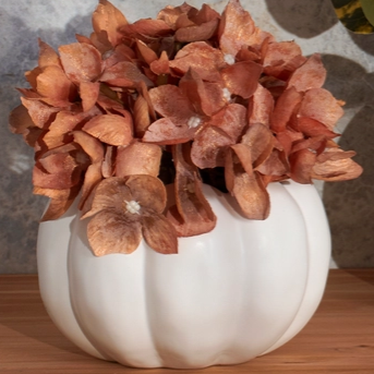 ceramic pumpkin pot