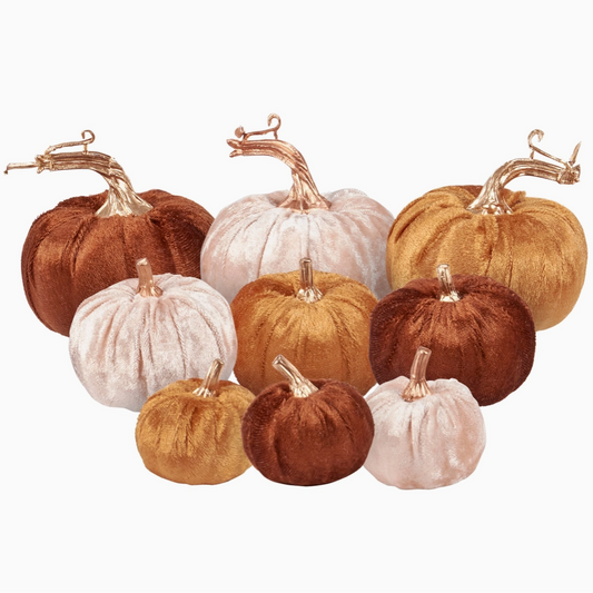 velvet pumpkin set for fall