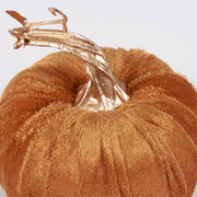 Brown textured pumpkin with a gold leaf on a white background