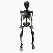 Full-body skeleton Halloween prop on display
