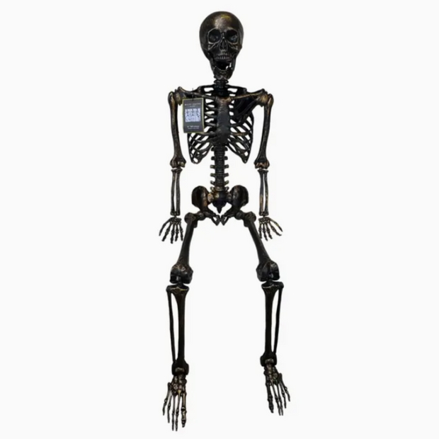 Full-body skeleton Halloween prop on display