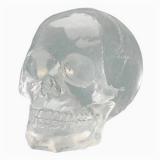 Skull art print in gothic style for dark aesthetic home decor