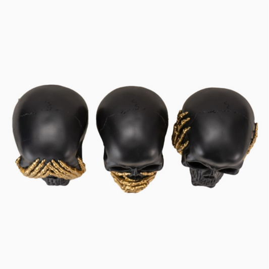 Close-up of gothic skull collectible set
