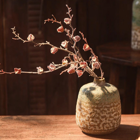 sujin dried fruit stem