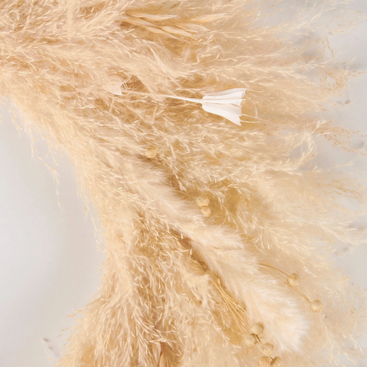 Close-up of a fluffy beige surface with a white feather
